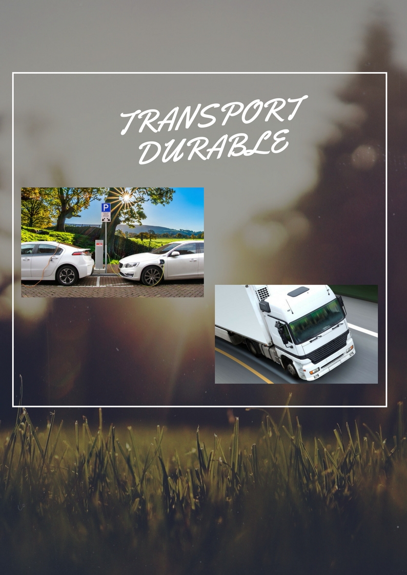 transport durable